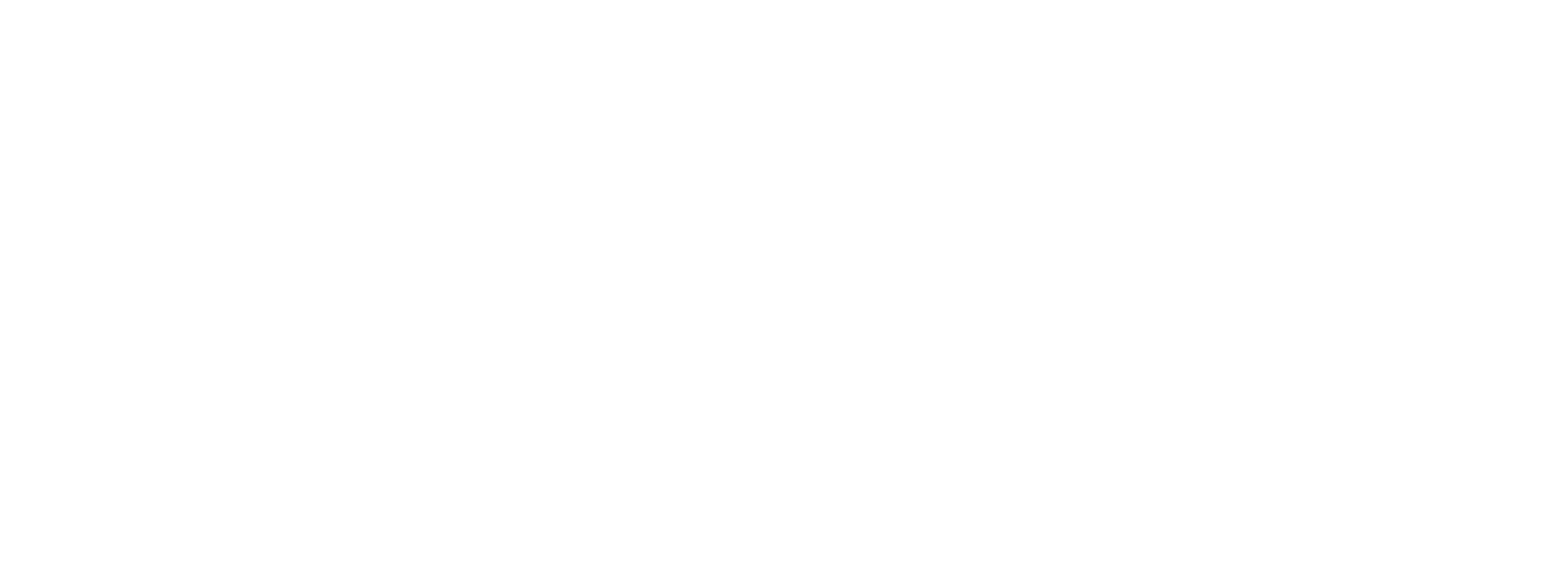 ANTHONY ARENDT / DIRECTOR OF PHOTOGRAPHY